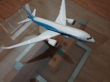 Pacmin boeing 787 gebraucht kaufen  Bad Münder