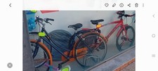 Bikes ladies man for sale  NELSON