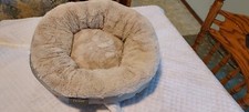 Donut fluffy cat for sale  Bemidji