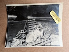 Unusual old vintage for sale  BARNOLDSWICK