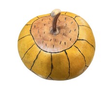 Vintage gourd hand for sale  Mayer