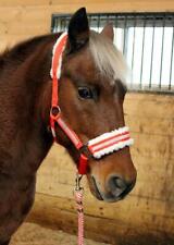 Mini pony cob for sale  Gilberts