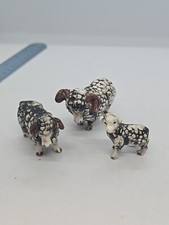 Big horn sheep for sale  Leola