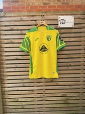 Norwich city home for sale  SWAFFHAM