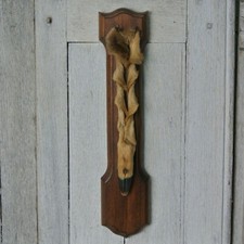 French deer foot d'occasion  Thénezay