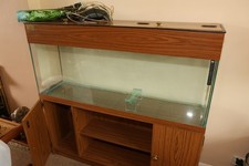 4ft tropical fish for sale  NORTHAMPTON