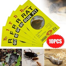 Strong sticky traps for sale  UK