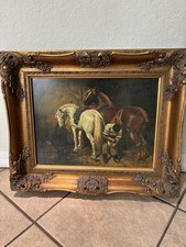 Carvers guilders england for sale  Dunnellon