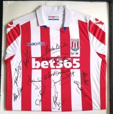 Stoke city full for sale  CHESTER