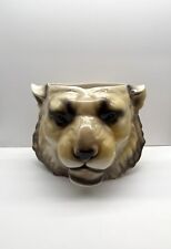 Vintage lion head for sale  CHESTERFIELD