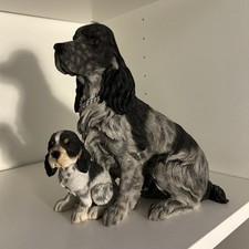 Large cocker spaniel for sale  BIRMINGHAM