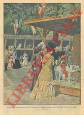 Beltrame esposizione nazionale usato Beltrame esposizione nazionale usato  Italia