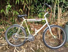 Vintage bicycle raleigh for sale  WESTON-SUPER-MARE