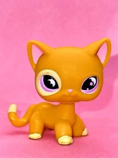 LPS Hasbro Yellow Shorthair Cat Moon Eyes #855 - Autentyczny najmniejszy sklep zoologiczny na sprzedaż  PL