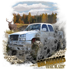 Chevy z71 4x4 for sale  Cicero