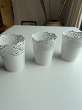 Ikea skurar plant for sale  LISBURN