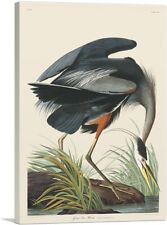 Artcanvas great blue for sale  Niles