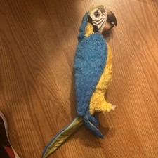 Squawkers macaw parrot for sale  Tazewell