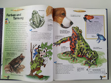 Kindersachbuch repthilien amph gebraucht kaufen  Frankfurt am Main