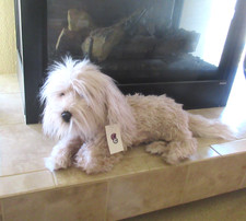 Cuddle clones old for sale  Castle Rock