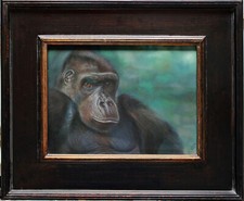 Western lowland gorilla for sale  Green Valley