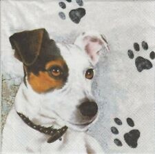 Servietten jack russel gebraucht kaufen  Frankfurt am Main