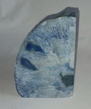 Brazilian beautiful blue for sale  Spanaway