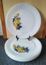 Vintage pyrex phoenix for sale  LEEDS