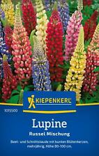Kiepenkerl lupinensamen russel gebraucht kaufen  Aurich