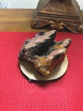 mastodon tooth for sale mastodon tooth for sale Tallahassee