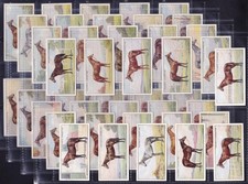 John player famous for sale  UK