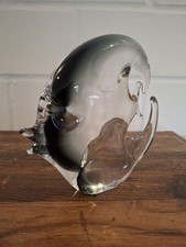 Glasfisch transparent schwarz gebraucht kaufen Glasfisch transparent schwarz gebraucht kaufen  Ilsenburg (Harz)