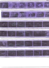 35mm negatives amateur for sale  EXETER