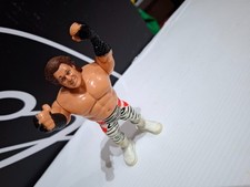 Wwf wrestling brutus usato  Roma
