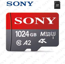 Micro 1tb sony usato  Bortigali