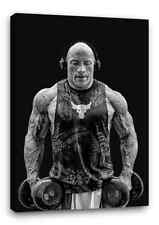 Rock bb5 gym for sale  MANCHESTER