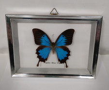 Framed blue ulysses for sale  LEEDS
