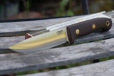 Südkreuz modell hornet gebraucht kaufen  St Ingbert