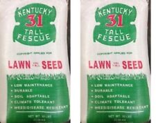 Barenbrug 491145 kentucky for sale  Harvard