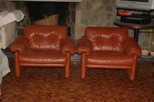 Coppia poltrone vintage usato  Delebio