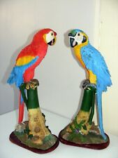 Beaux oiseaux peroquet d'occasion  Saint-Pol-sur-Mer