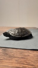 Rare ancien bronze d'occasion  Alfortville