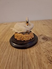 Country artists swan for sale  ALNESS