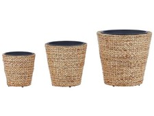Set zimmerpflanze rattantopf gebraucht kaufen  Schöneiche