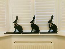 Rabbit hare blue for sale  TAVISTOCK