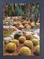 Elche huerto del d'occasion  Beaumont-de-Lomagne