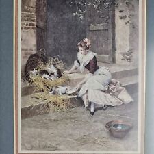 Mes chats daniel for sale  San Antonio