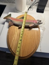 Inch rainbow trout for sale  Lakeland