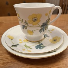 Trio teacup saucer for sale  BRACKLEY