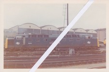 Deltic 55016 kings for sale  BROMSGROVE